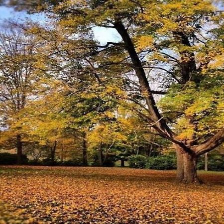 Inn At Fox Hill Farm Pomfret エクステリア 写真